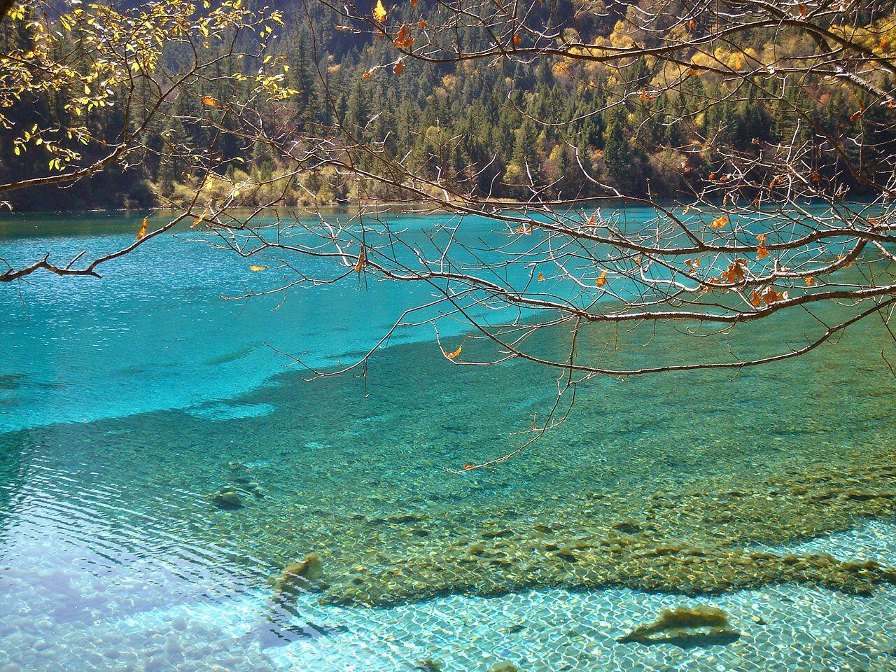 Danau Terindah Five Flower Lake Jiuzhaigou Valley China Kaskus