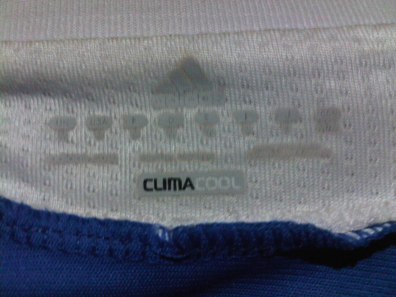 WTS Jersey Chelsea Home BNWT (11/12)