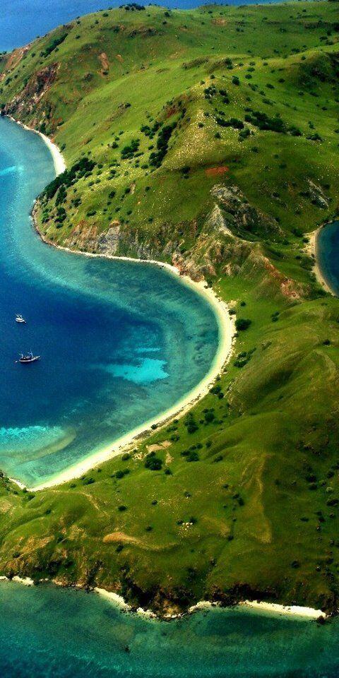 Artis Holiwood Nyebur di Pulau Komodo