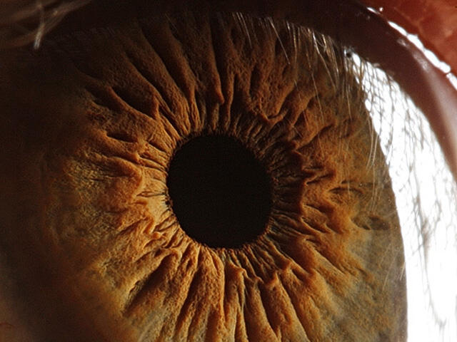 Photo Mata Manusia Kalo Di Zoom 