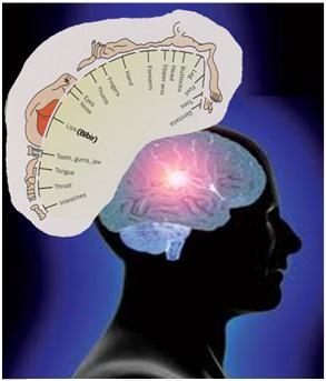 Sebaiknya Anda Tahu Aktifitas sebelum Berhubungan Intim
