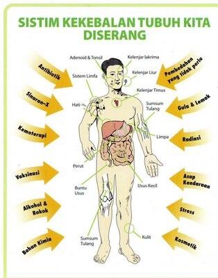 Aktivitas Yang Dilakukan Organ Tubuh Saat Agan Tidur