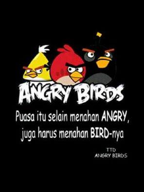 Pesen dari angrybird buat agan" yg puasa...