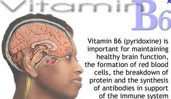 Ente Pelupa gan?! Cobain ini gan 7 Vitamin yang dapat Mempertajam Daya Ingat ente!!!!