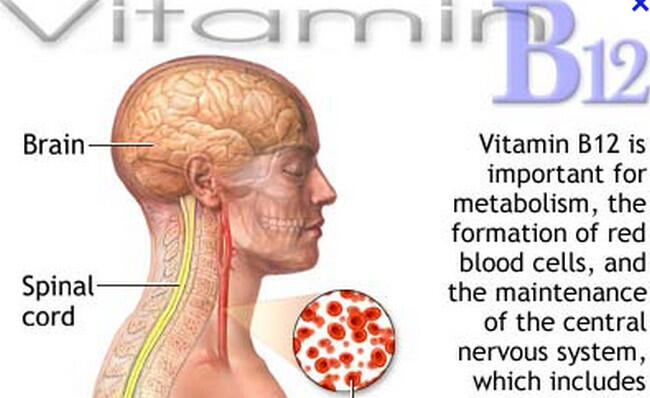 Ente Pelupa gan?! Cobain ini gan 7 Vitamin yang dapat Mempertajam Daya Ingat ente!!!!