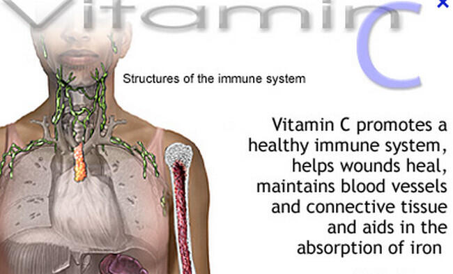Ente Pelupa gan?! Cobain ini gan 7 Vitamin yang dapat Mempertajam Daya Ingat ente!!!!