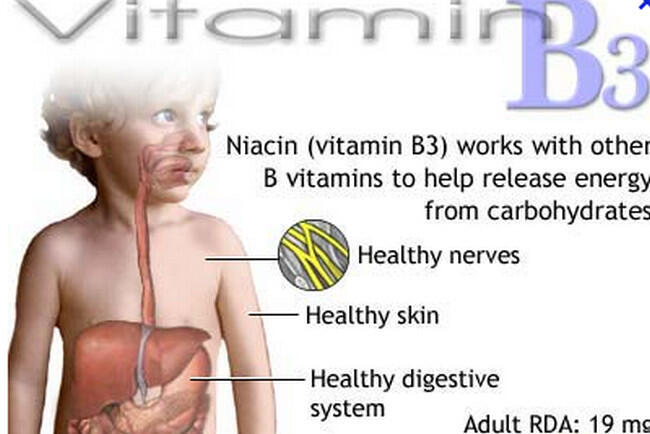 Ente Pelupa gan?! Cobain ini gan 7 Vitamin yang dapat Mempertajam Daya Ingat ente!!!!