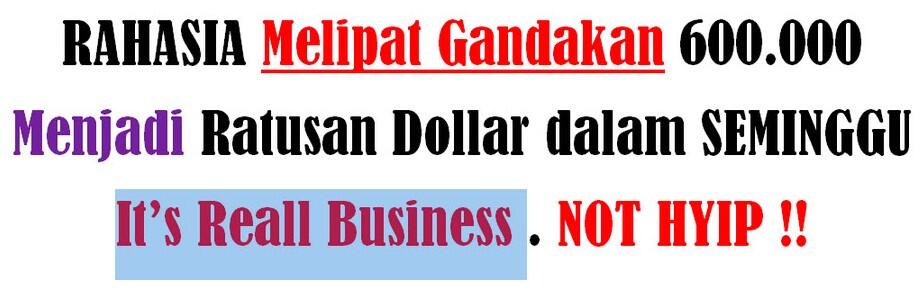 STIFORP It's Real Bussines, Cash Back 225rb jika agan daftar&amp;Upgrade!!!