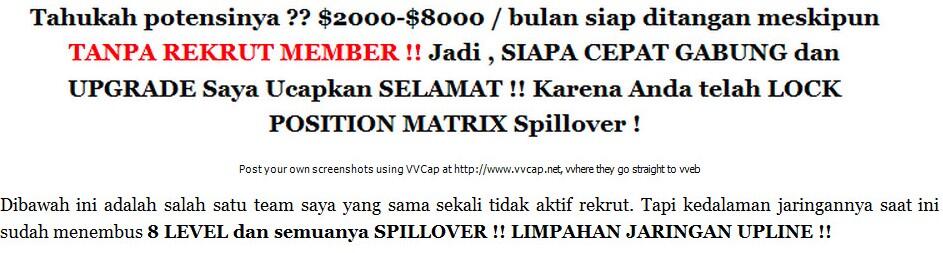 STIFORP It's Real Bussines, Cash Back 225rb jika agan daftar&amp;Upgrade!!!