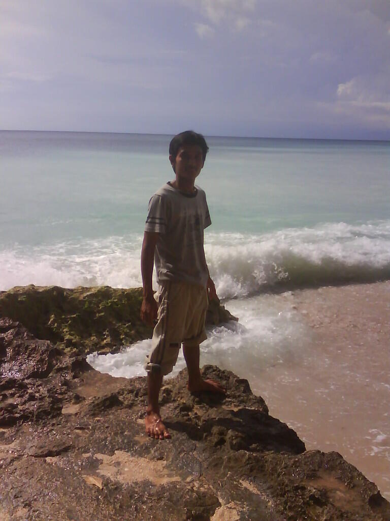 pulau BALI ternyata indah banget gan.