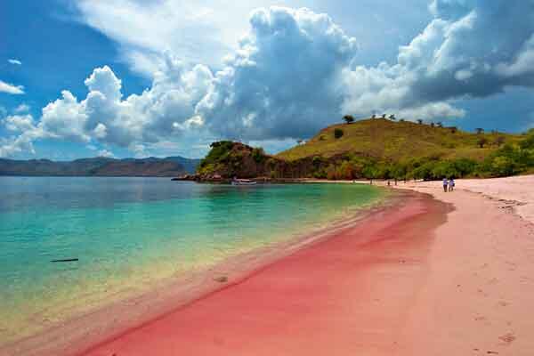 Tambah Pengalaman Wisata Ke Pantai PINK - PULAU LOMBOK - Lombok Timur
