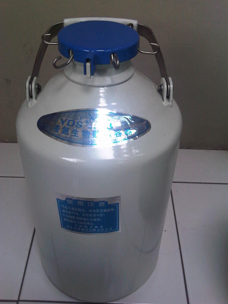 13 Persiapan Inseminasi