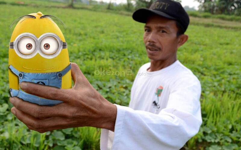 Minion versi indonesia gan Ngakak!