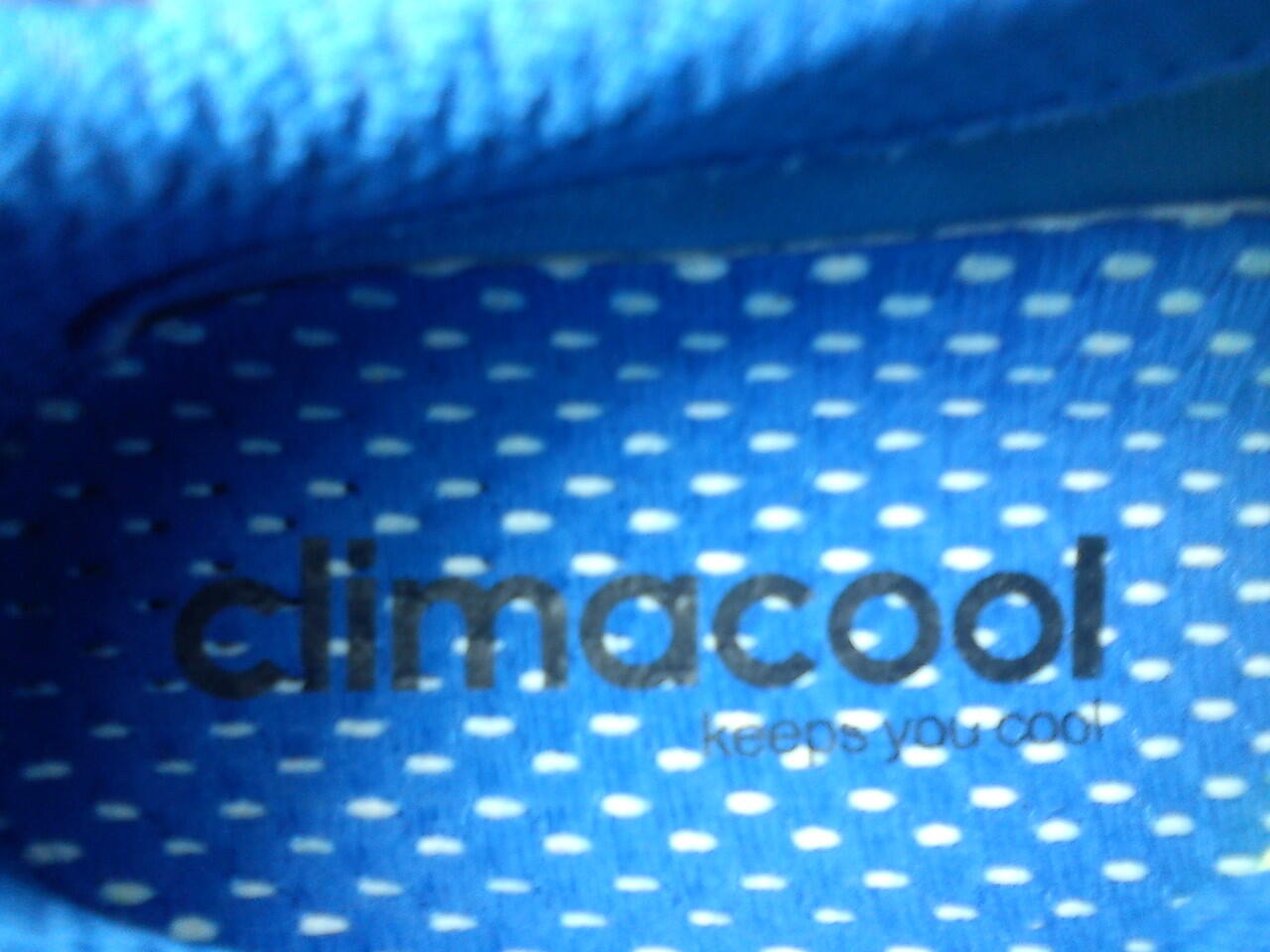 Adidas Climacool Revolution ORI