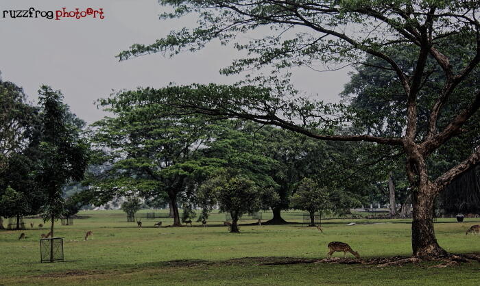 Belajar Fotografi, masuk gan !!!