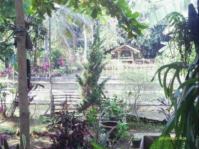 JUAL CPT RUMAH Luas TNH 1000m di KALIBARU CILODONG Depok