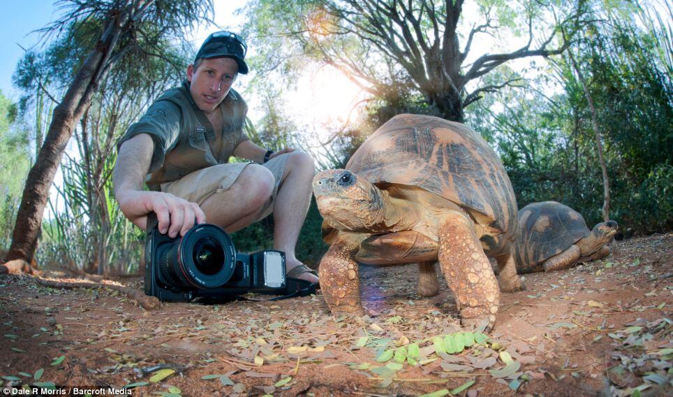 Keindahan Pulau Madagaskar dan spesies uniknya ditangan seorang fotografer.