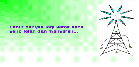 Kisah Tentang Katak Kecil