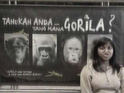 Gambar Lucu Bro,,,