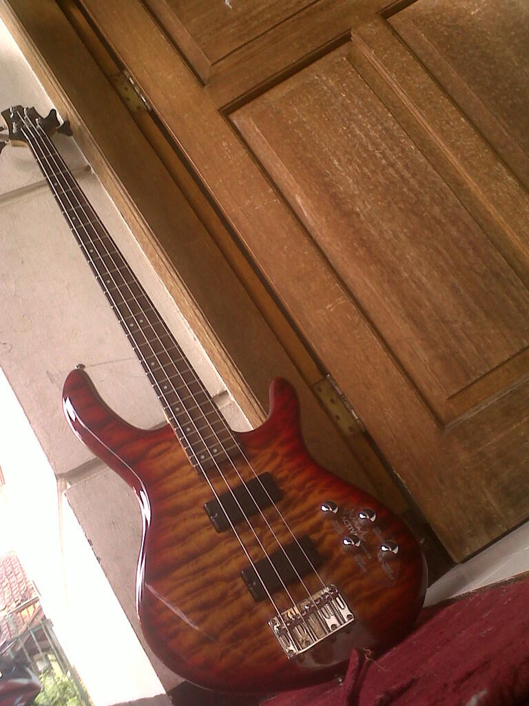 Cort Action Deluxe 4 strings Bandung Sumedang BU