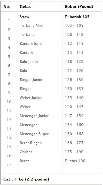 Kelas dalam Tinju