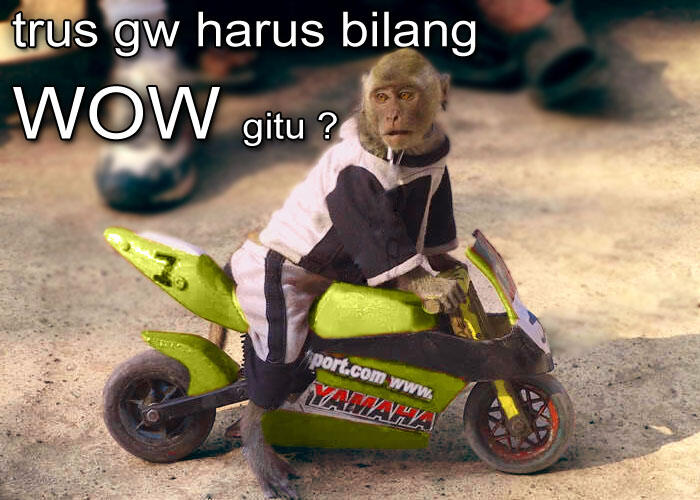 nenek nenek ama monyet brantem gan