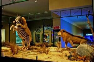 Museum Satwa