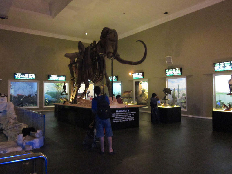 Museum Satwa