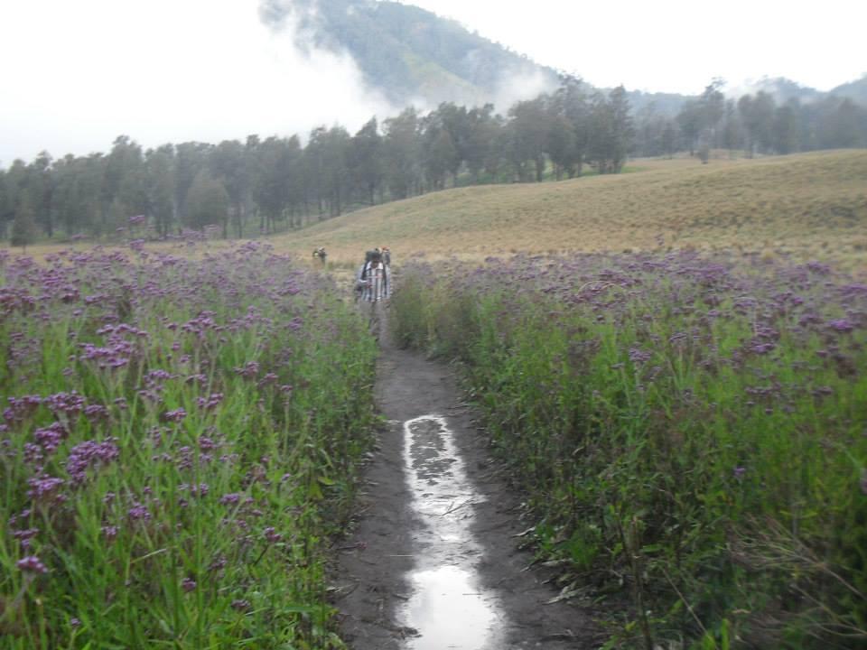 Perjalan ke Semeru + Kesurupan Warga Ranu Pani ( Makhluk Halus )