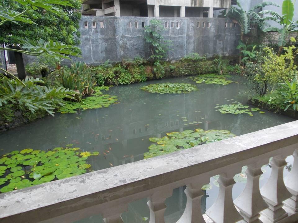 Rumah dg Suasana Tenang, Cocok untuk Tempat Tinggal