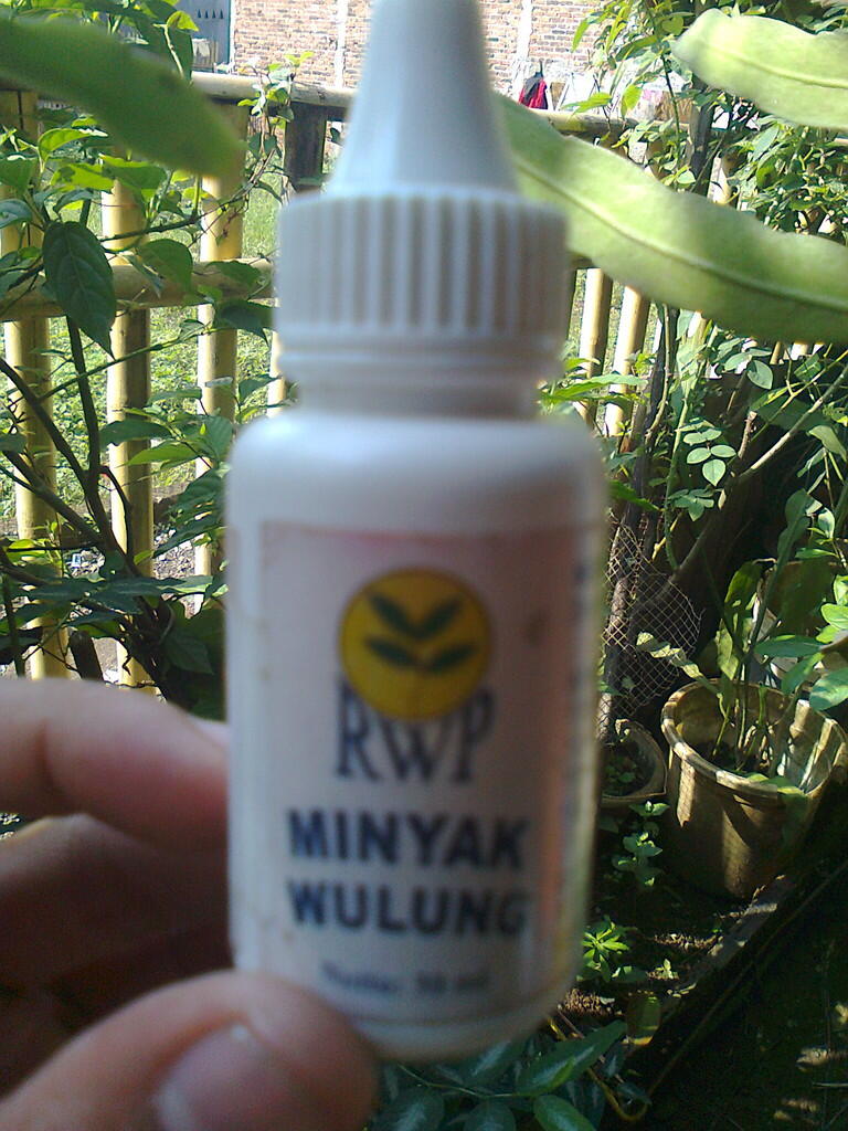 minyak wulung