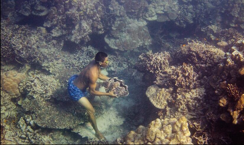Kehidupan Masyarakat NOMADEN di Laut MOKEN