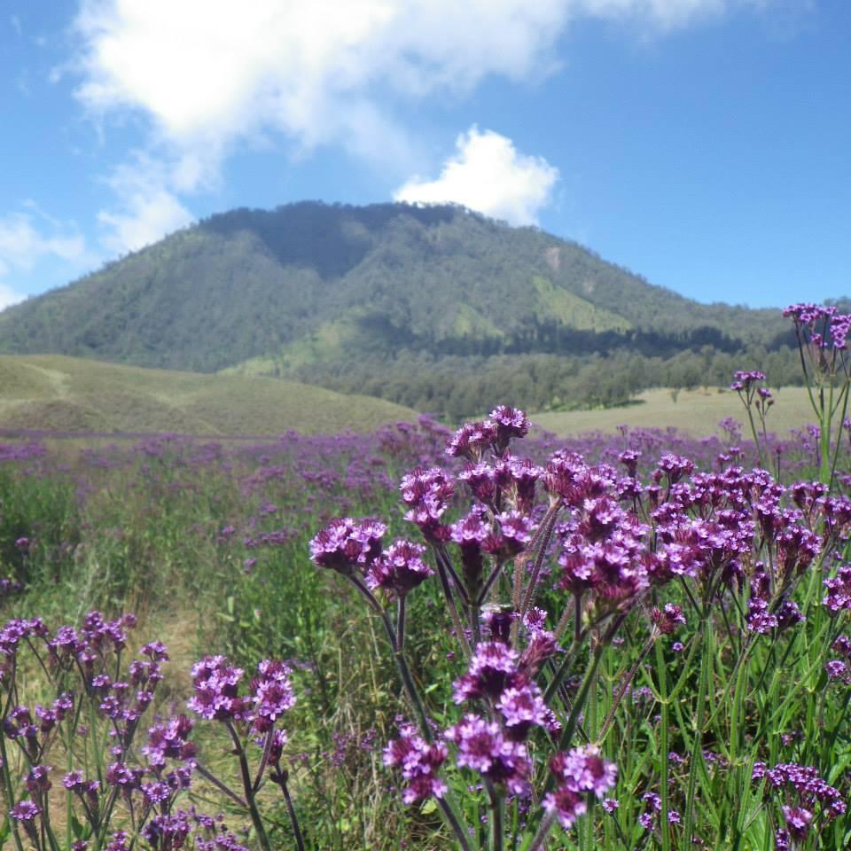 Perjalan ke Semeru + Kesurupan Warga Ranu Pani ( Makhluk Halus )