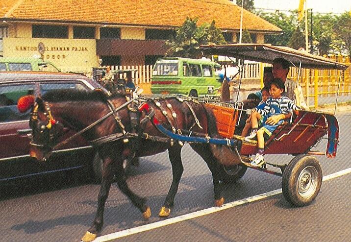 moda transportasi umum yang mulai dilupakan