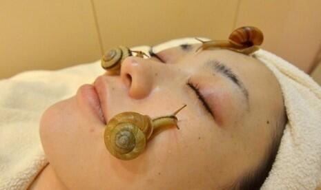Siput merayap di wajah biar lebih cantik.. Siapa Berani ?