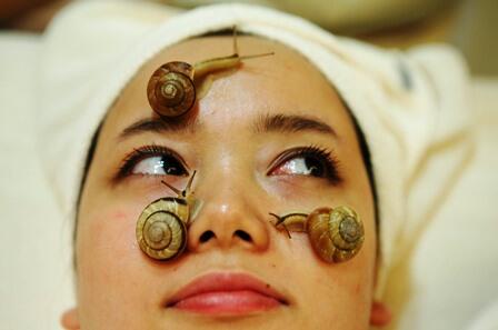 Siput merayap di wajah biar lebih cantik.. Siapa Berani ?