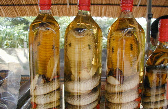 ada yang berani buat minum minuman ini ?