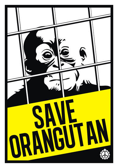 Inilah Mengapa Kita Manusia Harus Peduli Pada Orangutan (Save Orangutan!)