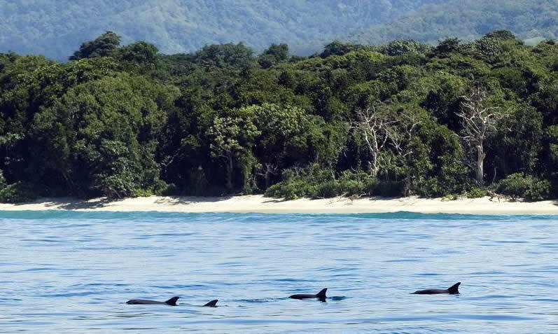 Pulau Indah Yang Tersembunyi Di Sumba, NTT