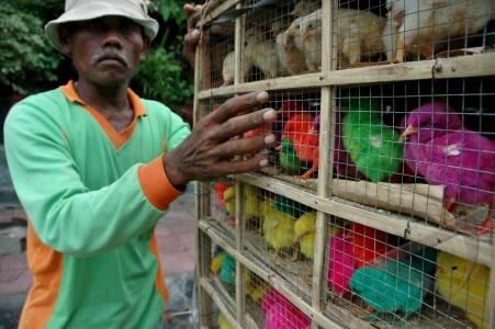 Mainan dan Makanan yang sering kalian beli saat kecil