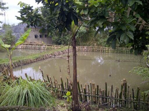 DIJUAL Rumah Villa di BOGOR View Langsung Gunung Salak