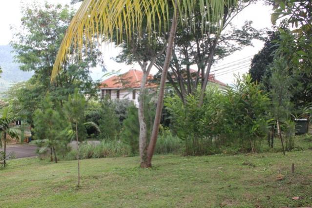 RUMAH UNIK HARGA ANTIK