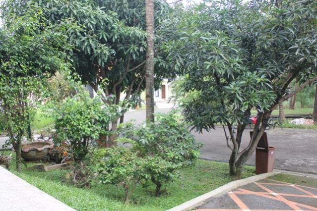 RUMAH UNIK HARGA ANTIK