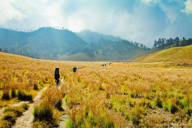 Foto-Foto Keindahan Mahameru, Puncak Abadi Para Dewa