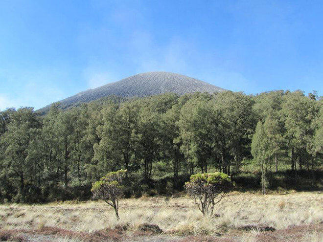 Foto-Foto Keindahan Mahameru, Puncak Abadi Para Dewa