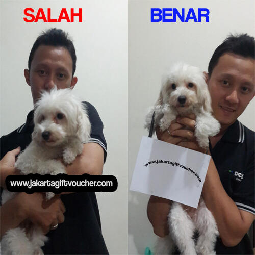 Kontes Foto Berhadiah Voucher Belanja (Supported by Jakarta Gift Voucher)