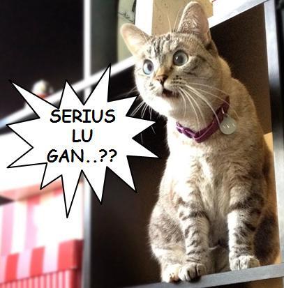 capek kerja, istri minta jatah, ditolak atau diterima?