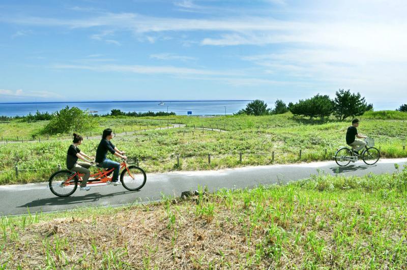 Foto-foto surga bunga di Jepang