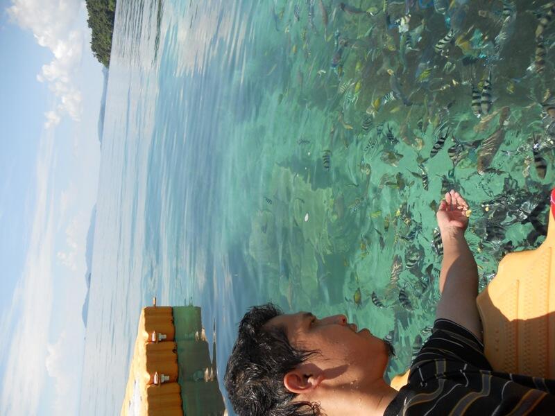 hasil foto sendiri &quot;keindahan raja ampat&quot;