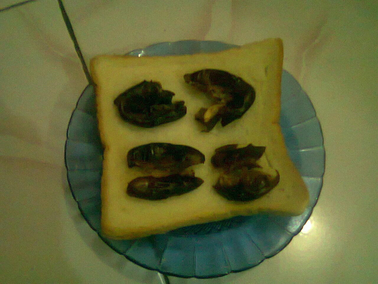 &#91;SHARE RECIPE&#93; Kurma Coklat Selimut, Sandwich Kurma Buatan Ane Gan!